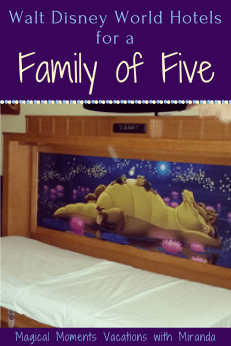 Magical Moments Vacations with Miranda