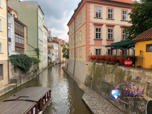 img_5736_ezy watermark_16-08-2019_10-01-40pm